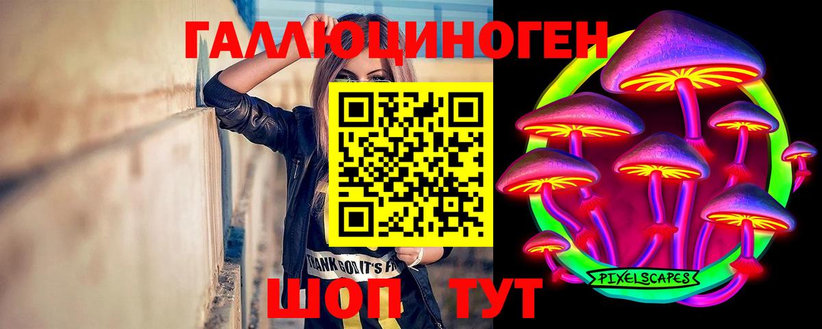 Псилоцибиновые грибы GOLDEN TEACHER  Вход с VPN  Мелеуз 