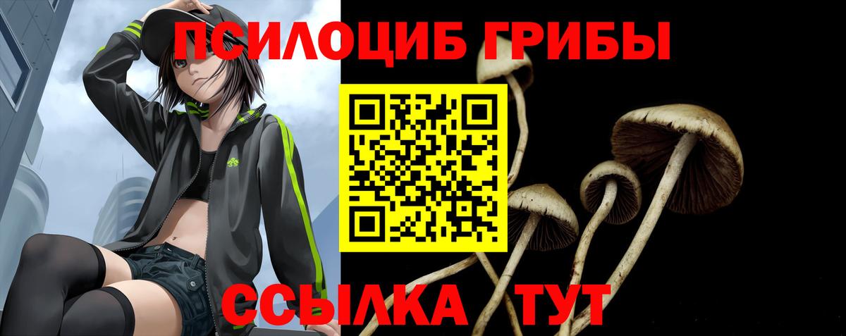 Псилоцибиновые грибы прущие грибы Мелеуз